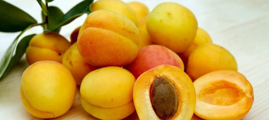 apricots-g4ecfefa79_1920-1024x683